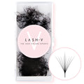 9D Promade Wispy Loose - 1000 Fans - One V Salon