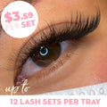 9D Promade Wispy Loose - 1000 Fans - One V Salon