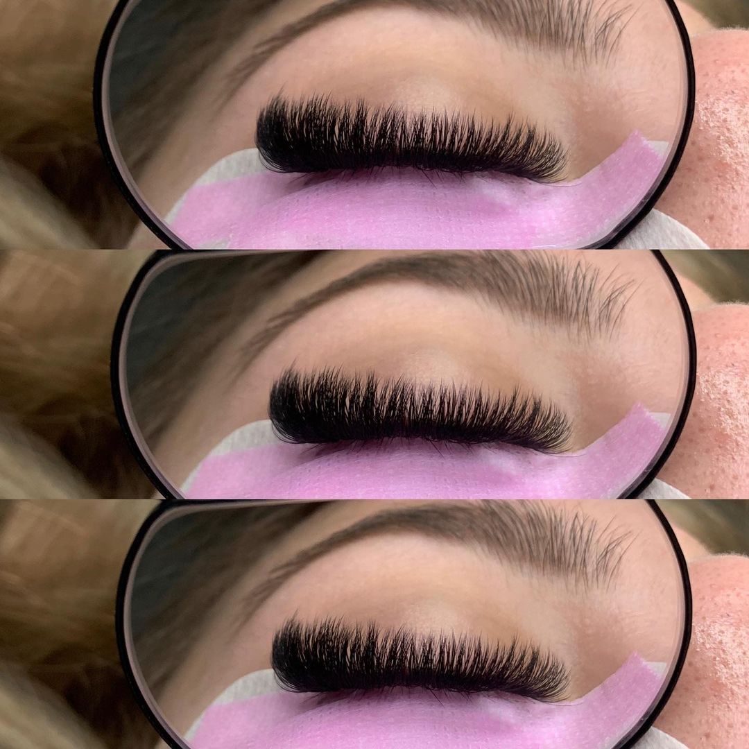 8D Promade Fans NEW XXL Tray 500 - Premade Volume Fans - One V Salon