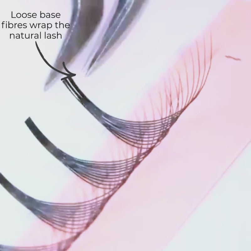 6D Promade Wrapping Base - 480 Fans - One V Salon