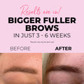 Eyebrow Growth Serum . - One V Salon